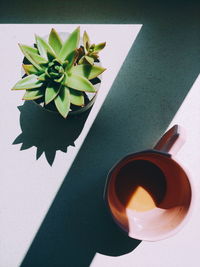 High angle view of potted plant on table