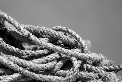 Close-up of ropes