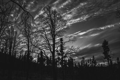 Low angle view of silhouette bare trees against sky