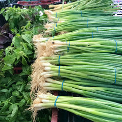 High angle view of vegetables for sale in market