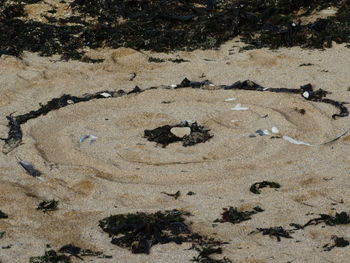High angle view of footprints on sand at beach