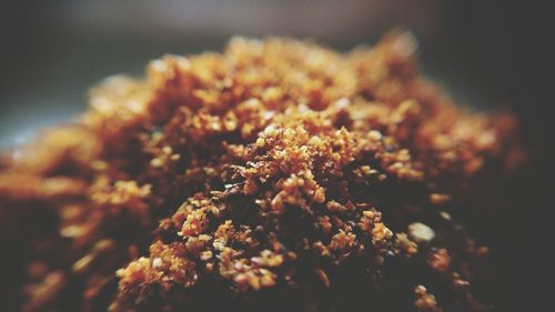 Close-up view of leaf