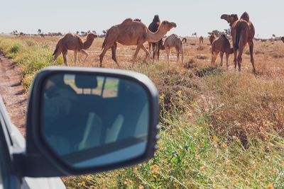 Seen in morocco