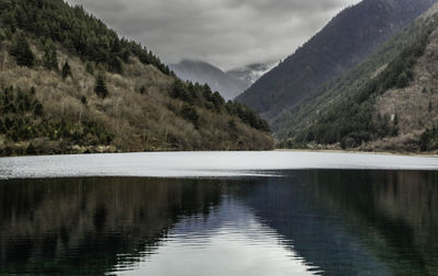 Scenic view of lake by trees against sky