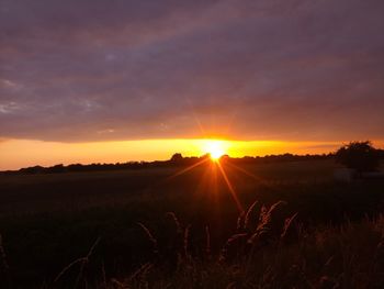 Scenic view of field against sky during sunset