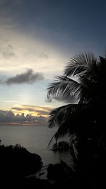 Silhouette palm tree by sea against sky at sunset