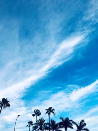 Low angle view of silhouette palm trees against blue sky