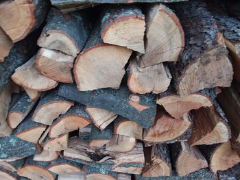 Detail shot of logs in forest