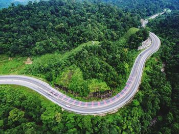 High angle view of road amidst trees in forest