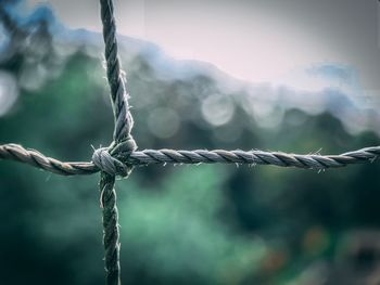 Close-up of tied rope