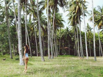 Full length of seductive woman standing against palm trees in forest