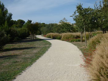 Road amidst trees against sky