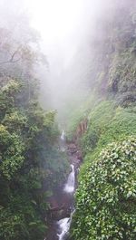 Scenic view of waterfall in forest against sky