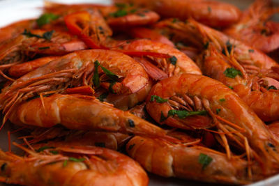 Close-up of seafood in plate