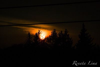 Silhouette trees against sky at night