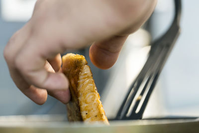 Close-up of person holding fish