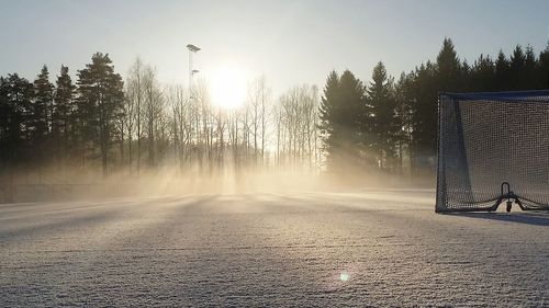 Snow covered soccer field against trees on sunny day