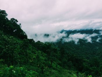 Scenic view of landscape against cloudy sky