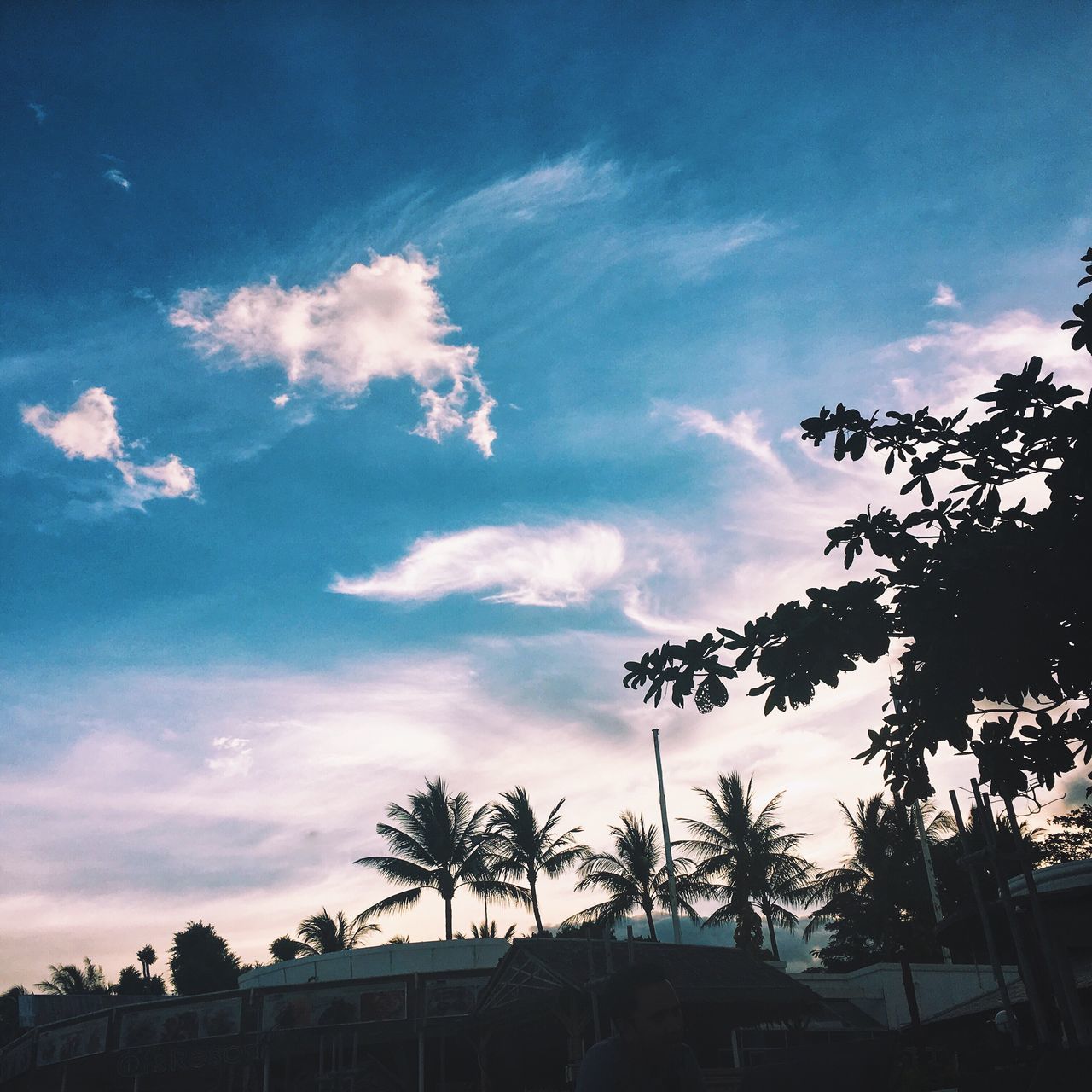 SILHOUETTE OF TREES AGAINST CLOUDY SKY