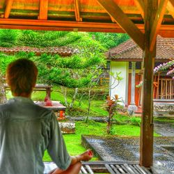 Rear view of man sitting on lawn