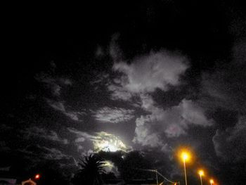 Low angle view of trees against sky at night