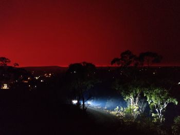 Silhouette trees against illuminated sky at night