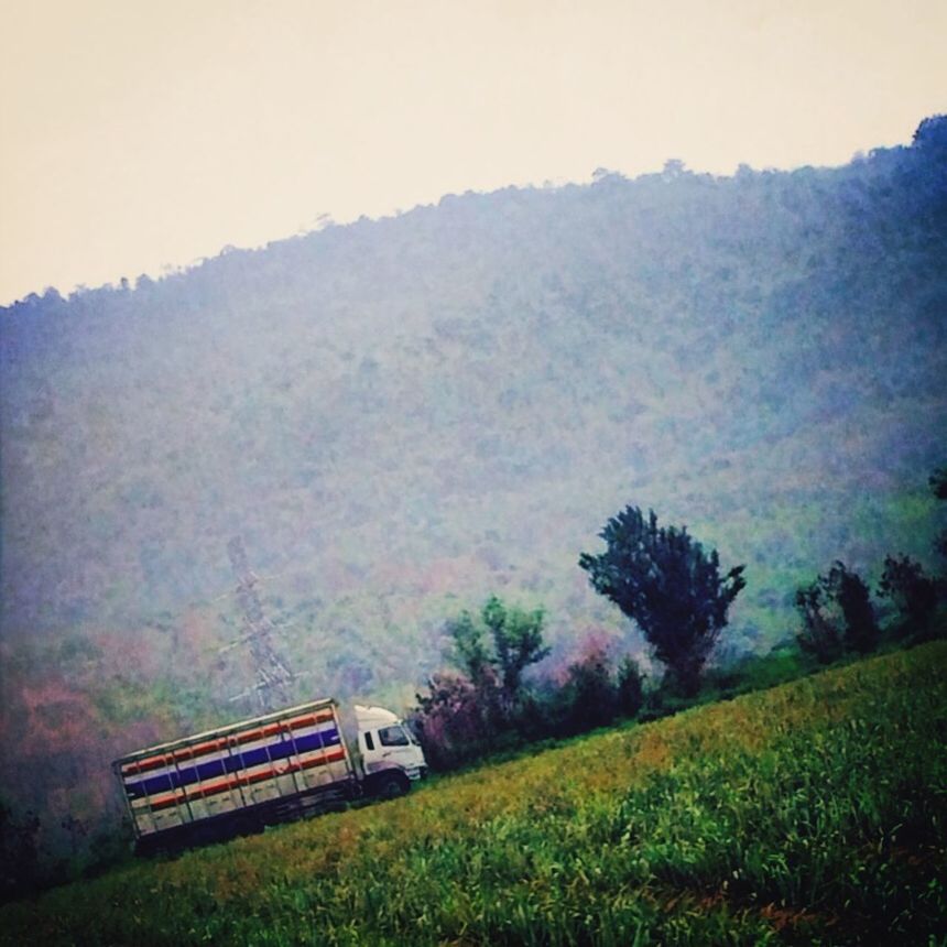 tree, tranquility, tranquil scene, landscape, nature, beauty in nature, grass, scenics, field, growth, non-urban scene, fog, bench, mountain, green color, day, plant, outdoors, no people, idyllic