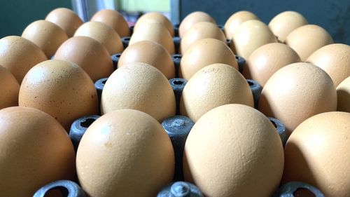 Close-up of eggs in container