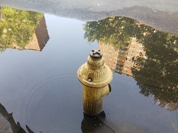 Upside down reflection