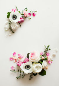 Close-up of pink roses against white background