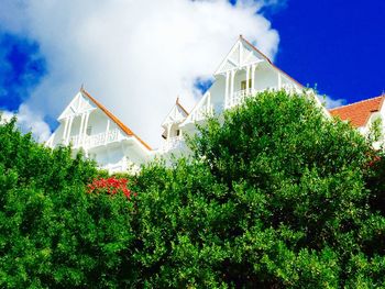 Low angle view of traditional windmill