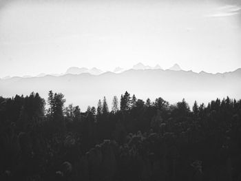 Scenic view of trees and mountains against sky