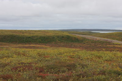 Scenic view of landscape against sky