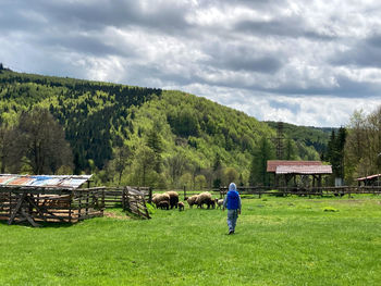 Rear view of man on field against sky