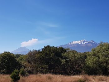 Scenic view of trees and popocatepetl vulcano against blue sky