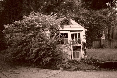 House and trees in garden