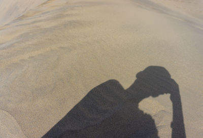 Shadow of man on sand at beach