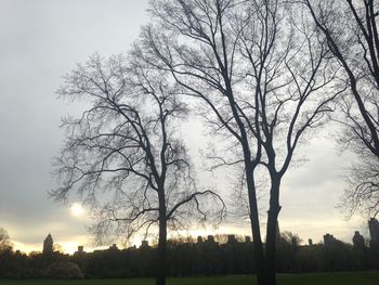 Silhouette bare trees on field against sky during sunset