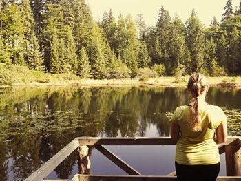 Calm lake in forest
