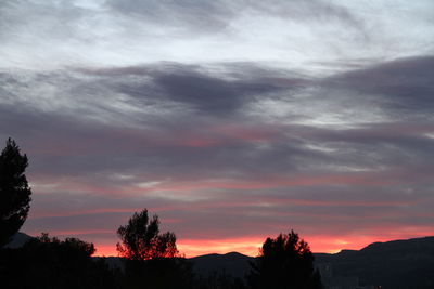 Silhouette trees against dramatic sky during sunset