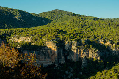 Scenic view of trees and mountains against sky