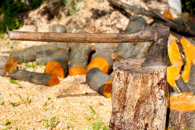 Close-up of wood