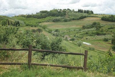 Scenic view of agricultural field against sky