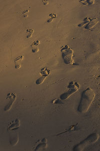 High angle view of footprints on sand at beach