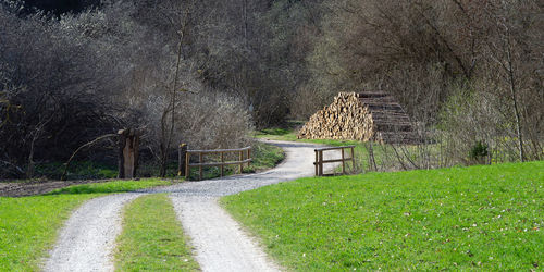 Empty road amidst trees on field