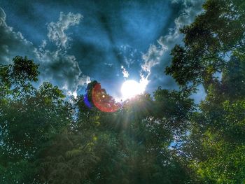 Low angle view of trees against sky