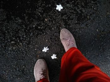 Low section of person standing on street