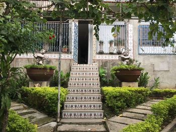 Potted plants on footpath by building