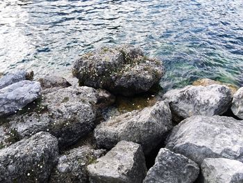 Rocks in water