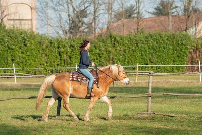 Man riding horse on field